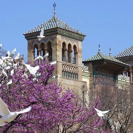 Epicenter Ii Nuevo Y Lujoso Apto Parking Gratis Perfecta Ubicacion Appartement *